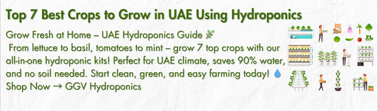 Hydroponics