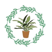 Plant Protection – Green Garden Vibes USA