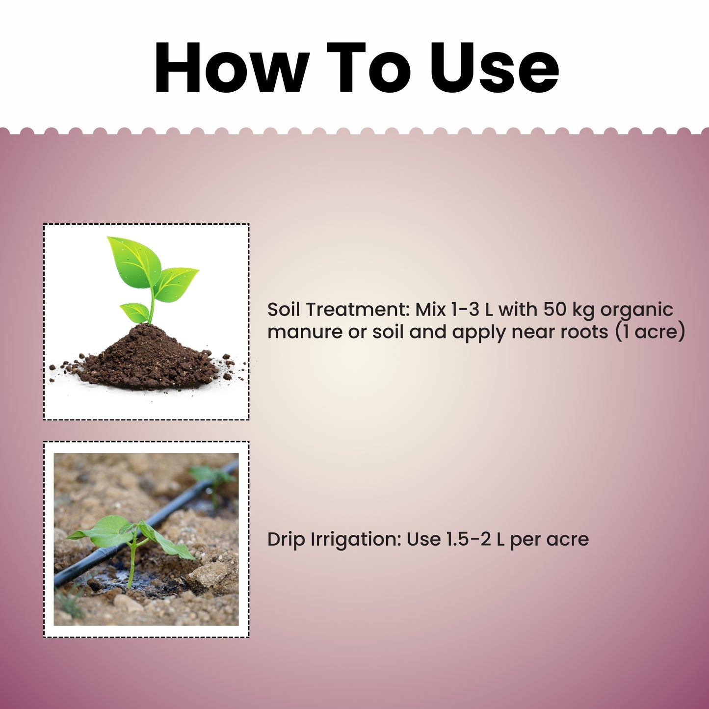 GGV Rhizobium Nitrogen Fixing Bio fertilizer
