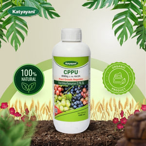 Forchlorfenuron 0.1% CPPU Plant Growth Regulator – Buy 1 Get 2 Free (USA Only)