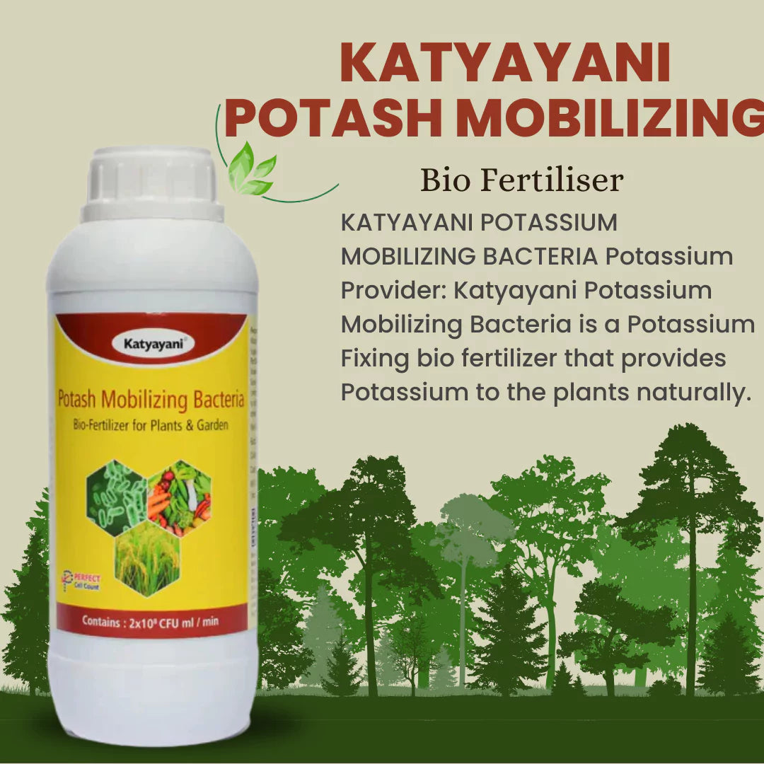 GGV Potash Mobilizing Bacteria Bio fertilizer