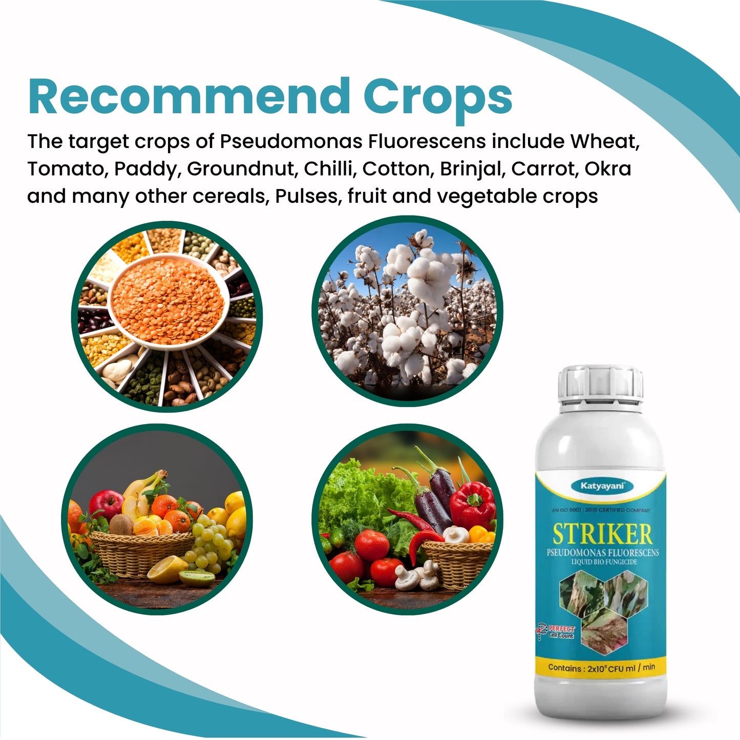 Katyayani Pseudomonas Fluorescens Bio Fungicide – Organic Disease Control for Plants | Root Rot, Wilt & Blight Solution | UAE Delivery