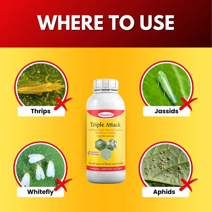 GGV Katyayani Triple Attack – Organic Liquid Bio-Insecticide (Verticillium + Beauveria + Metarhizium) | Triple Fungal Power for Complete Pest Control