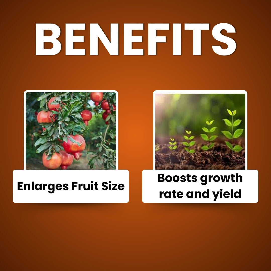 GGV Nutritious – Triacontanol 0.01% EW Plant Growth Regulator Buy 1 Get 2 FREE |
