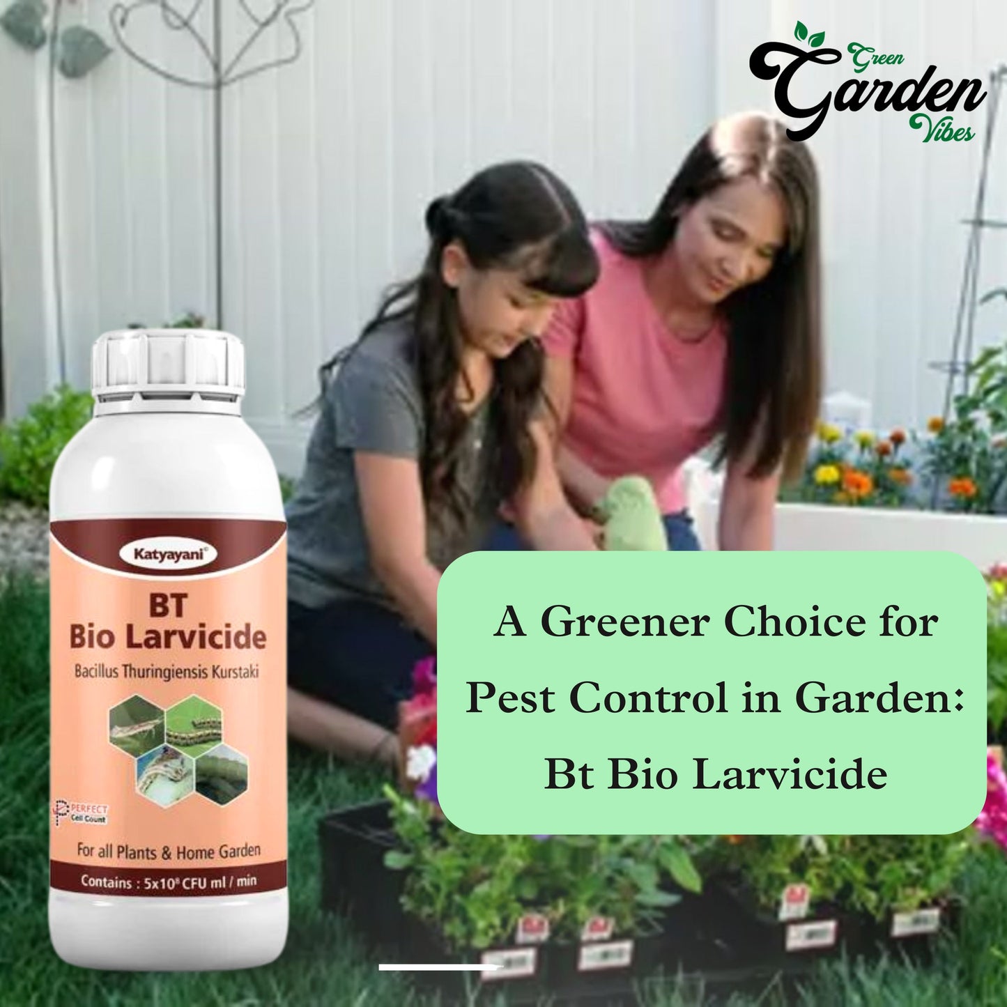 GGV BT Larvicides