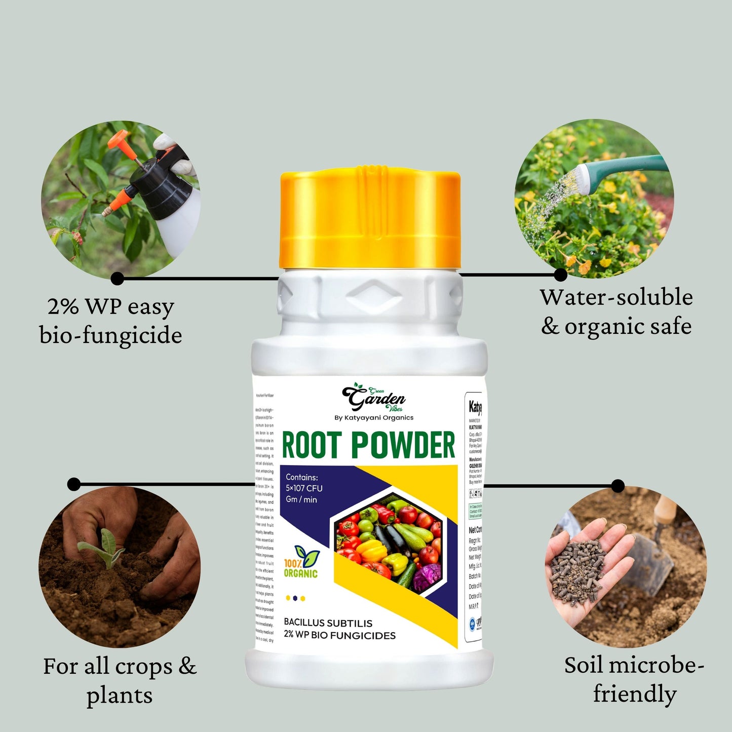 GGV Root Powder - Bacillus Supp 2% Bio Fungicide