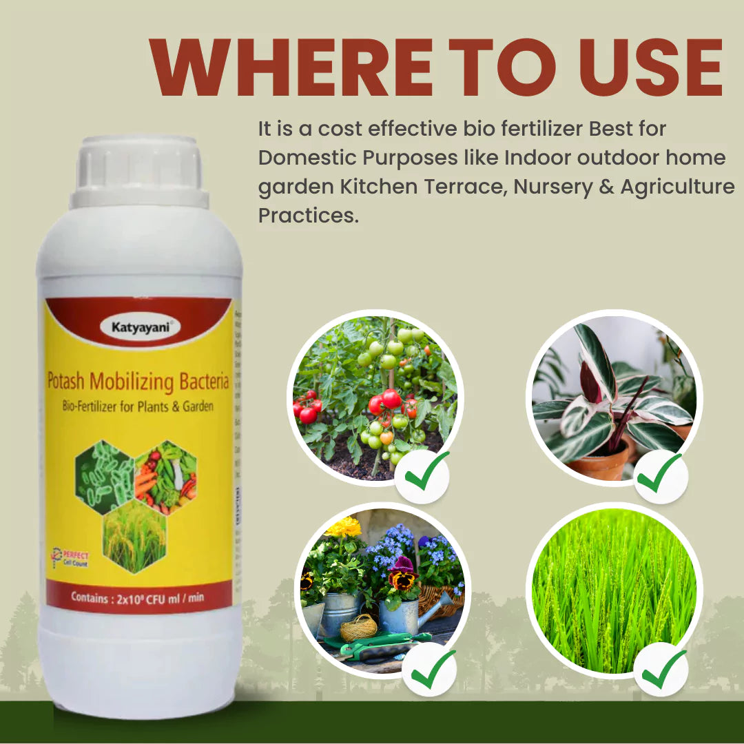 GGV Potash Mobilizing Bacteria Bio fertilizer