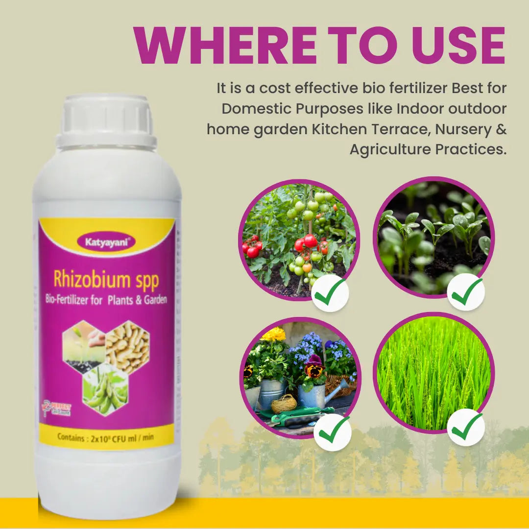 GGV Rhizobium Nitrogen Fixing Bio fertilizer