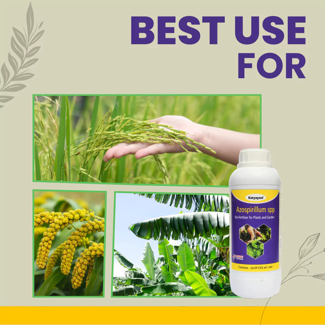 GGV Katyayani Azospirillum Bio Fertilizer
