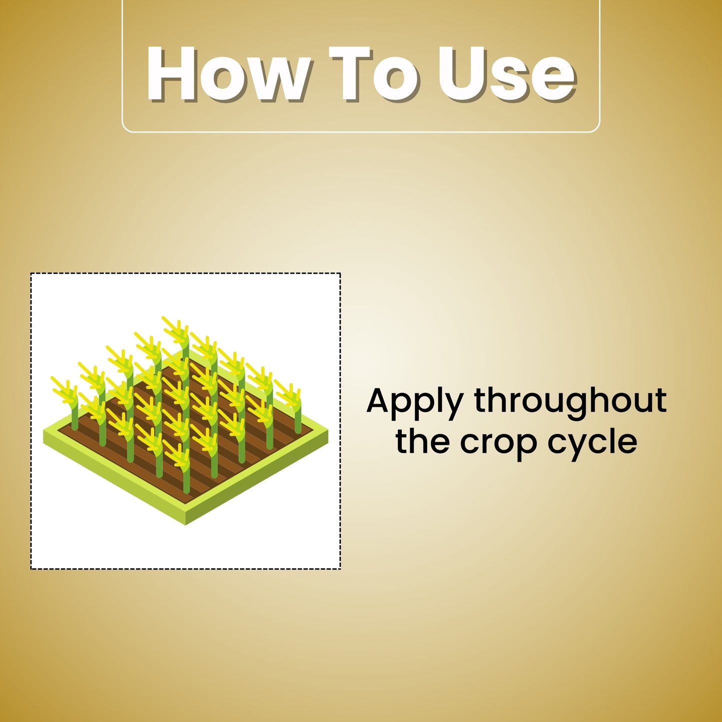 GGV Organic Powder Seaweed Fertilizer