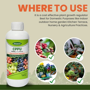 Forchlorfenuron 0.1% CPPU Plant Growth Regulator – Buy 1 Get 2 Free (USA Only)