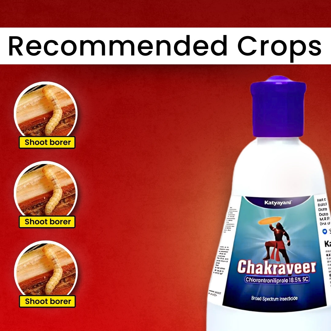GGV Katyayani Chakraveer – Chlorantraniliprole 18.5% SC | Broad-Spectrum Contact & Systemic Insecticide 🚀 Buy 1 Get 2 FREE