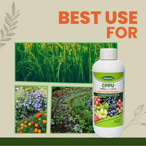 Forchlorfenuron 0.1% CPPU Plant Growth Regulator – Buy 1 Get 2 Free (USA Only)