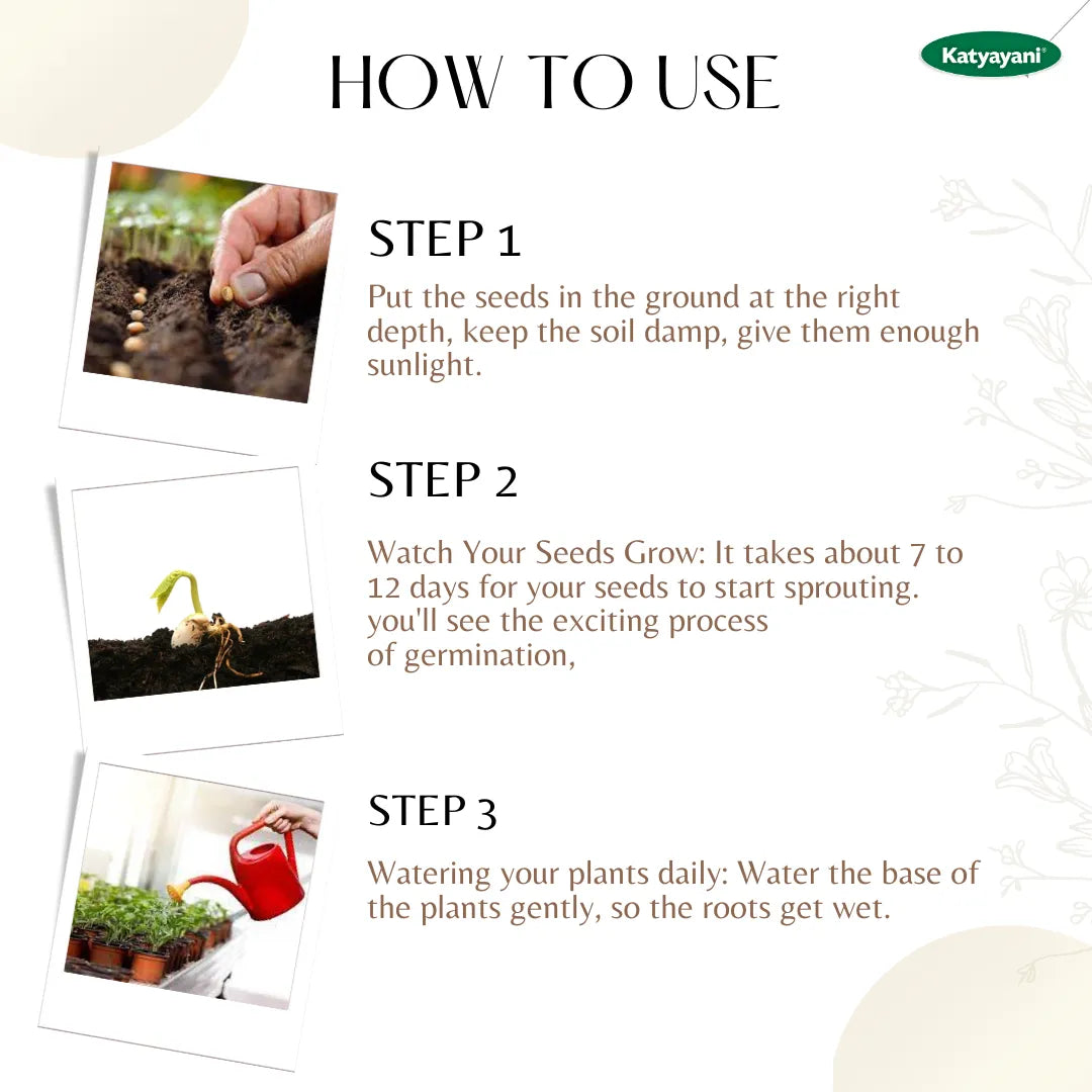 Tulsi (Holy Basil) Herb seeds