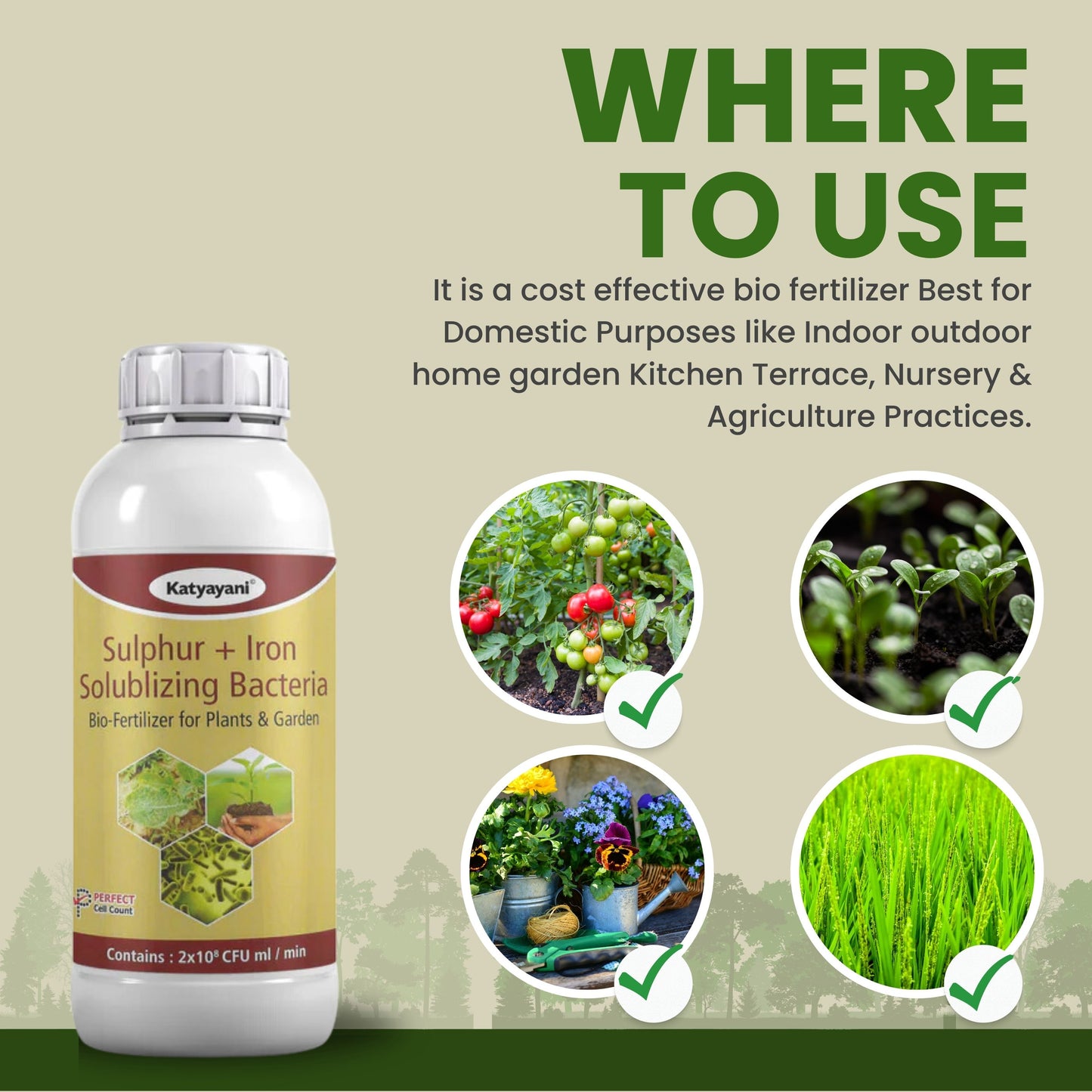 Sulphur + Iron Solubilising Bio Fertilizer