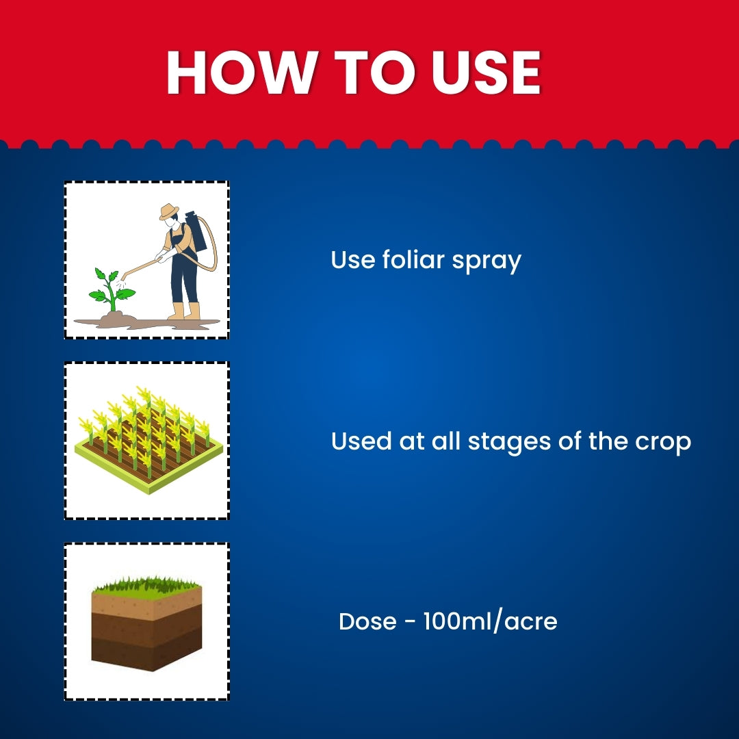 Bloom Booster (Homobrassinolide 0.04 %)- improves growth, yield, and quality of your veggies and fruits