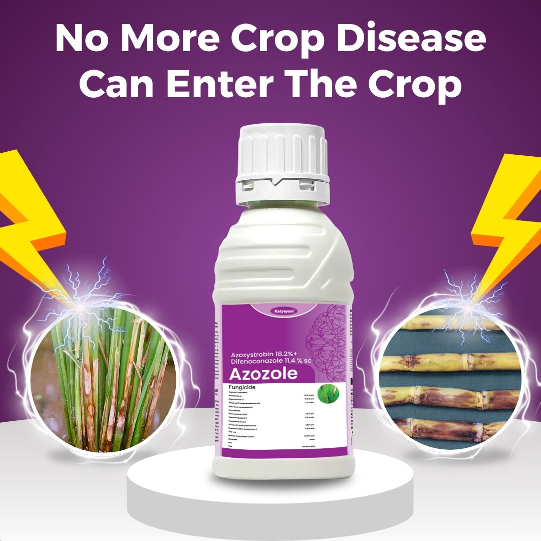 GGV Azozole – Azoxystrobin 18.2% + Difenoconazole 11.4% SC Fungicide Buy 1 Get 2 FREE