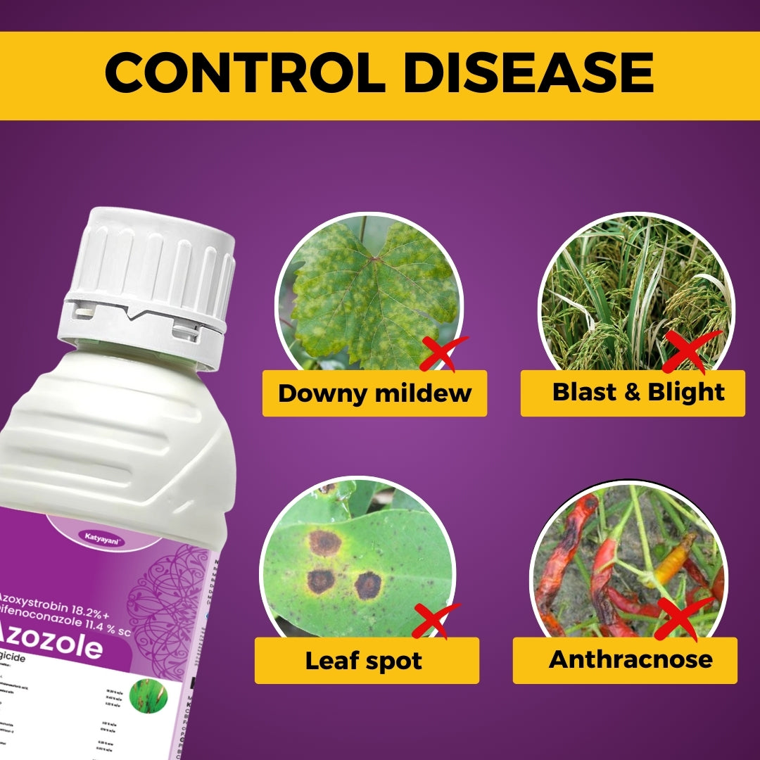 GGV Azozole – Azoxystrobin 18.2% + Difenoconazole 11.4% SC Fungicide Buy 1 Get 2 FREE