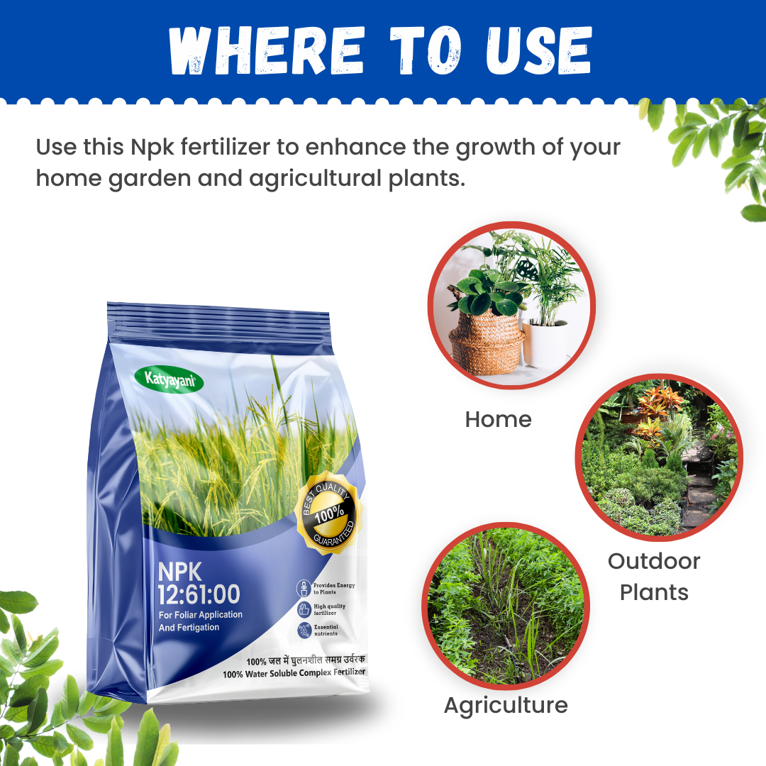 Katyayani NPK 12:61:00 Water Soluble Fertilizer π₯ Buy 1 Get 2 Free β Limited Time Offer!