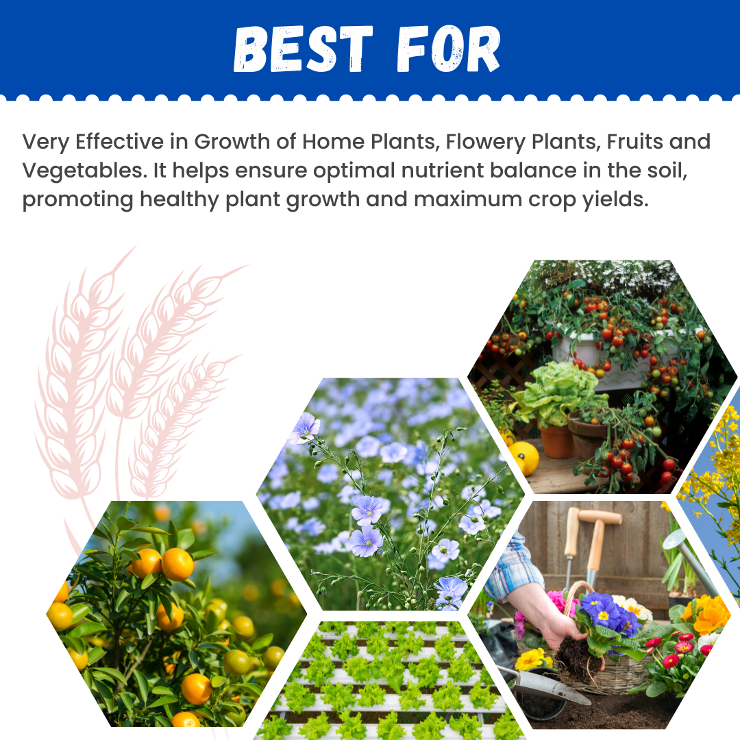Katyayani NPK 12:61:00 Water Soluble Fertilizer π₯ Buy 1 Get 2 Free β Limited Time Offer!