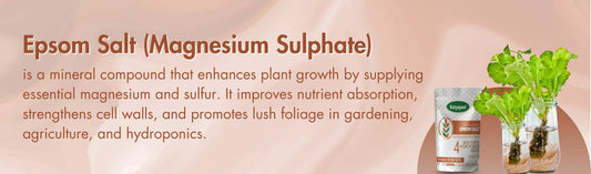 Epsom Salt