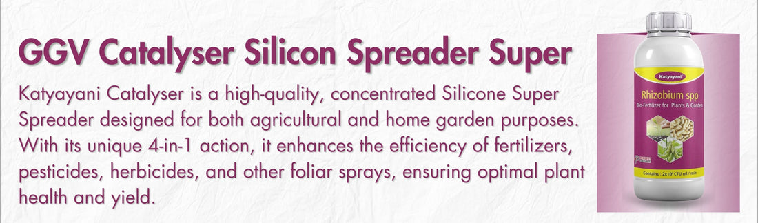 Catalyser Silicon Super Spreader