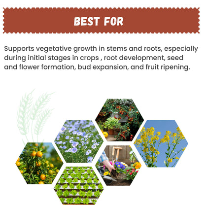 GGV NPK 19 19 19 100% Water Soluble Plant Food Fertilizer