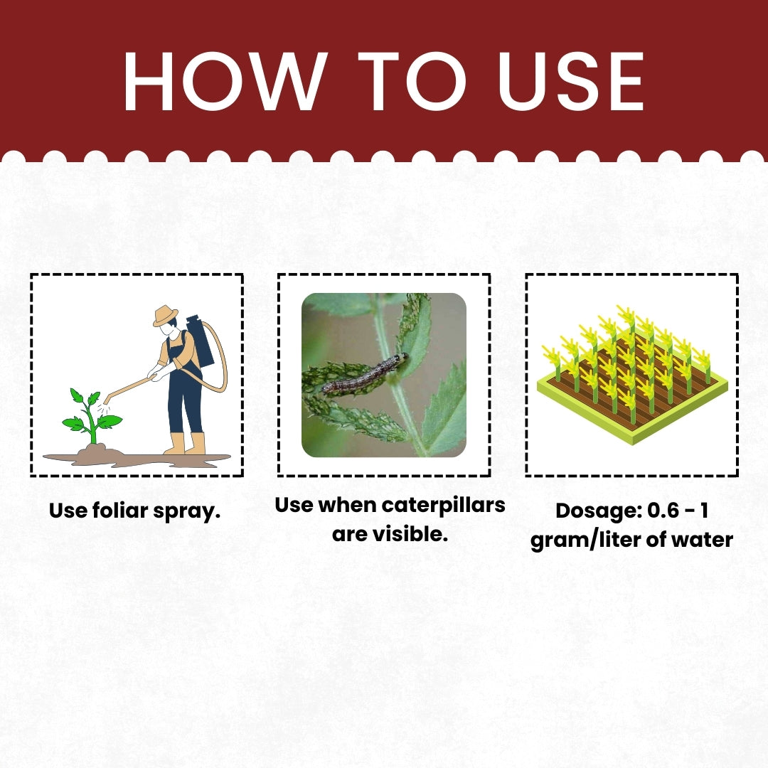 Katyayani EMA 5 | Emamectin Benzoate 5% SG Insecticide for Thrips, Pod borer, Fruit & Shoot Borer