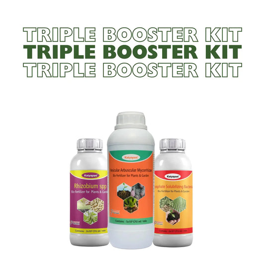 GGV Triple Booster Kit