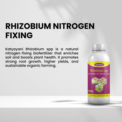 GGV Rhizobium Nitrogen Fixing Bio fertilizer