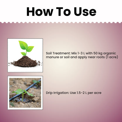 GGV Rhizobium Nitrogen Fixing Bio fertilizer