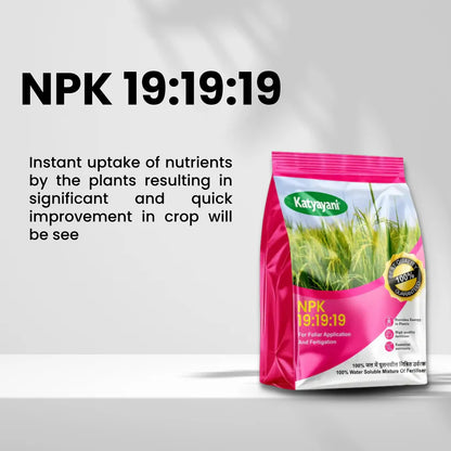 GGV NPK 19-19-19 Water Soluble Fertilizer for Fast Growth | All-in-One Plant Nutrients