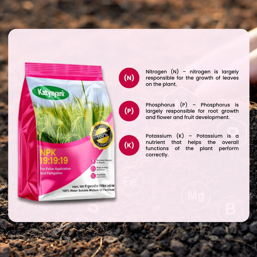 GGV NPK 19-19-19 Water Soluble Fertilizer for Fast Growth | All-in-One Plant Nutrients