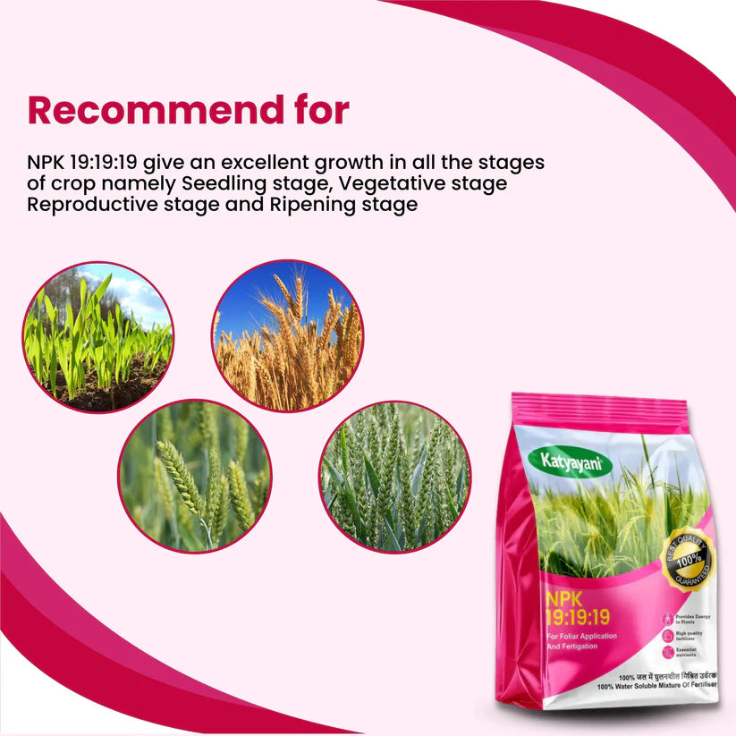 GGV NPK 19-19-19 Water Soluble Fertilizer for Fast Growth | All-in-One Plant Nutrients