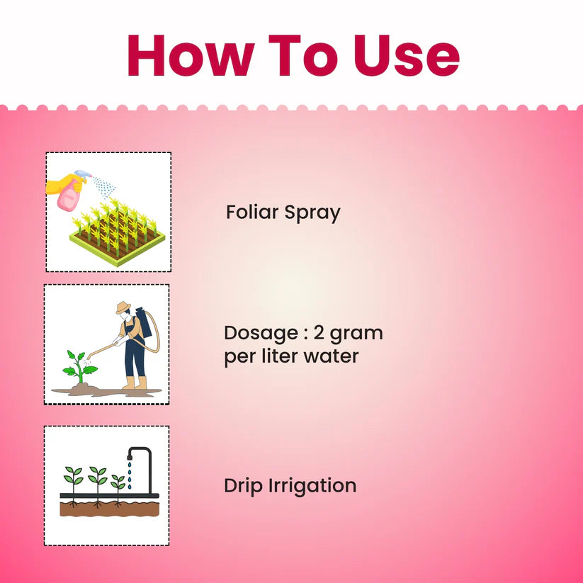 GGV NPK 19-19-19 Water Soluble Fertilizer for Fast Growth | All-in-One Plant Nutrients