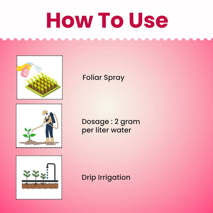 GGV NPK 19-19-19 Water Soluble Fertilizer for Fast Growth | All-in-One Plant Nutrients