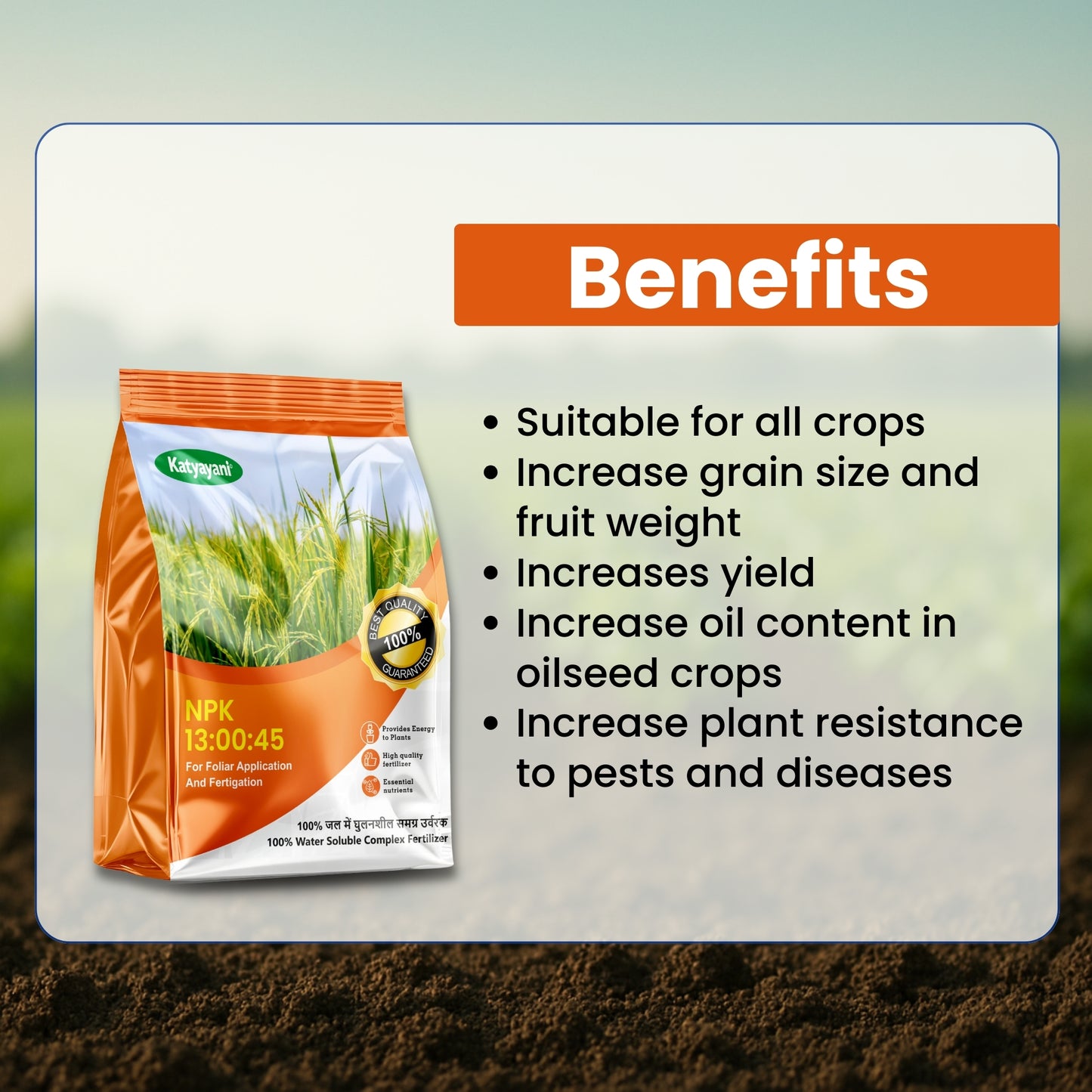 GGV NPK 13 00 45 Fertilizer