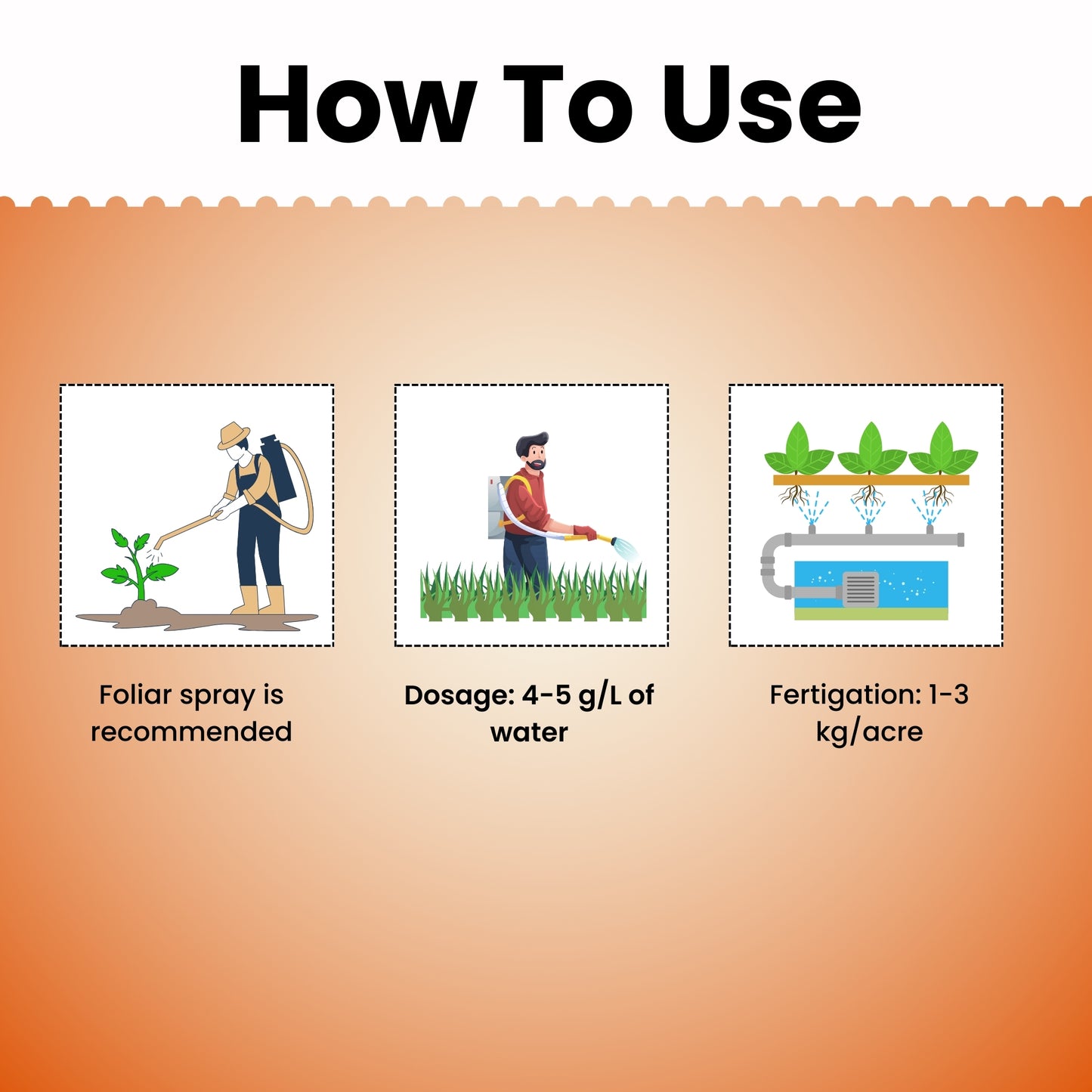 GGV NPK 13 00 45 Fertilizer