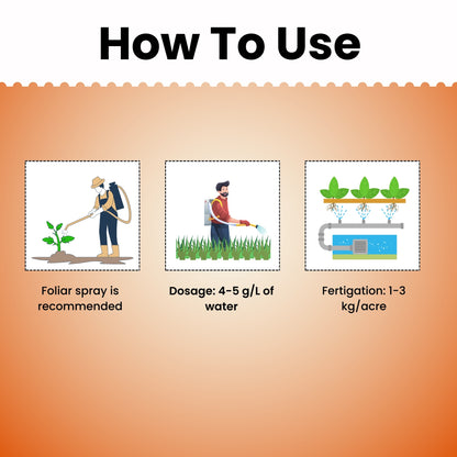 GGV NPK 13 00 45 Fertilizer