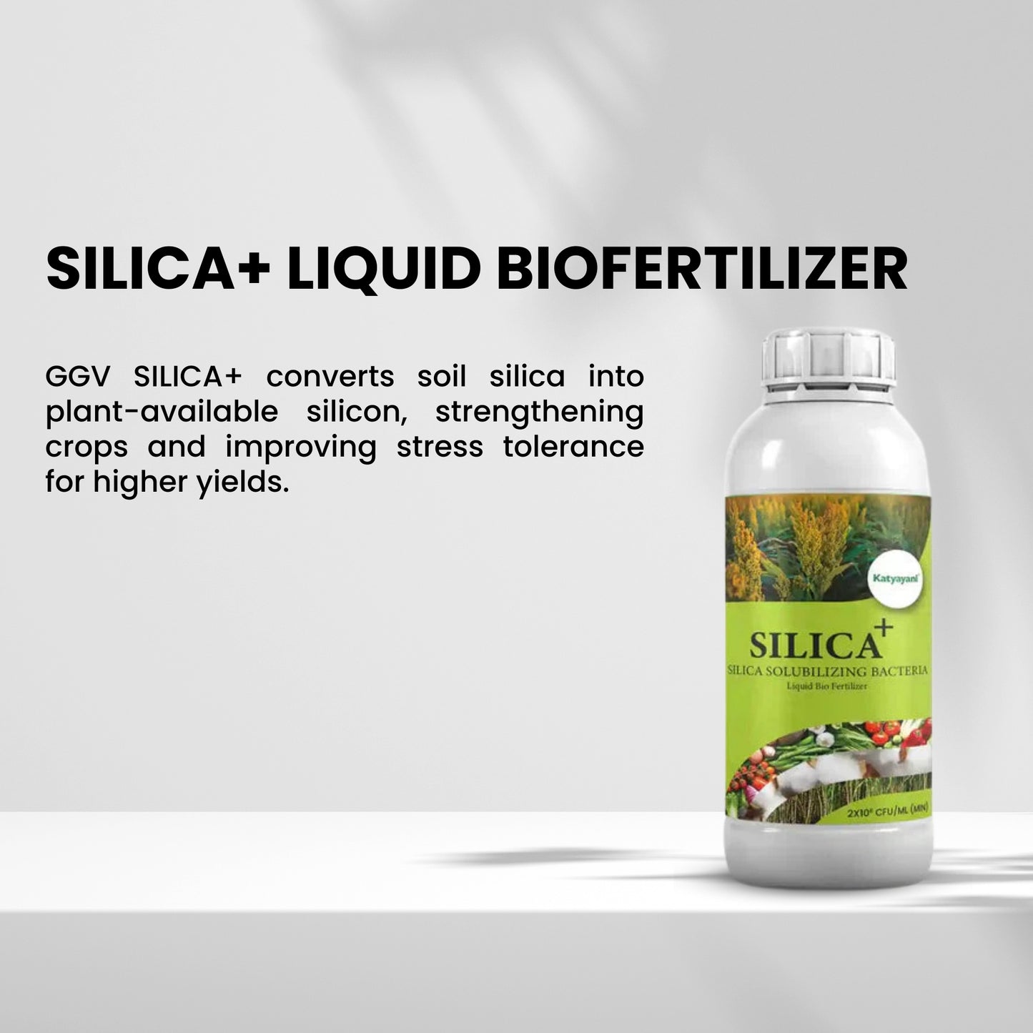 GGV SILICA + | SILICA SOLUBILIZING BACTERIA | LIQUID BIOFERTILIZER
