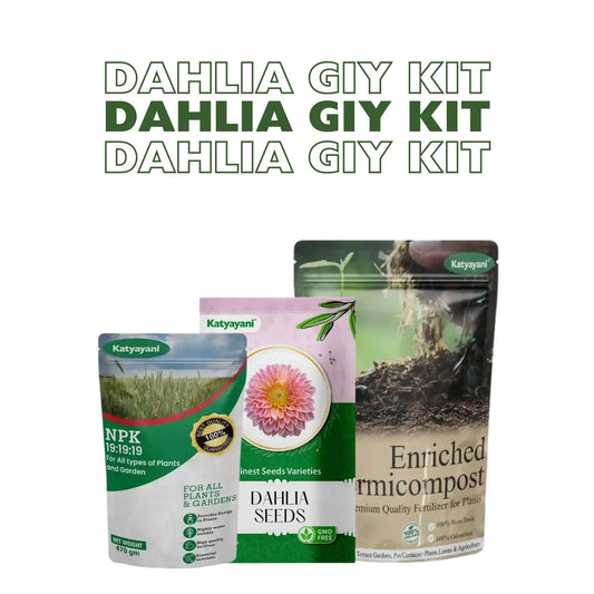 GGV Dahlia Grow It Yourself Kit