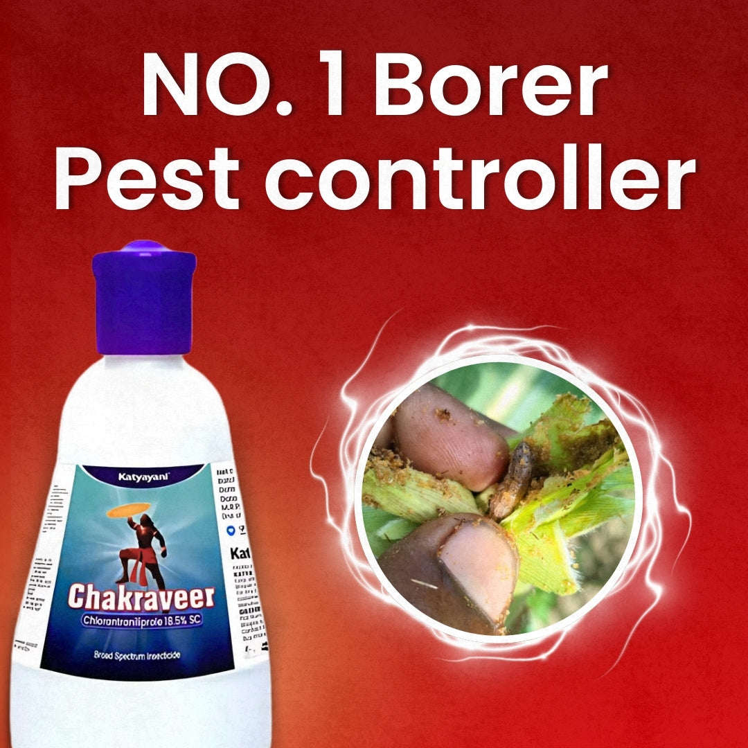 GGV Katyayani Chakraveer – Chlorantraniliprole 18.5% SC | Broad-Spectrum Contact & Systemic Insecticide 🚀 Buy 1 Get 2 FREE