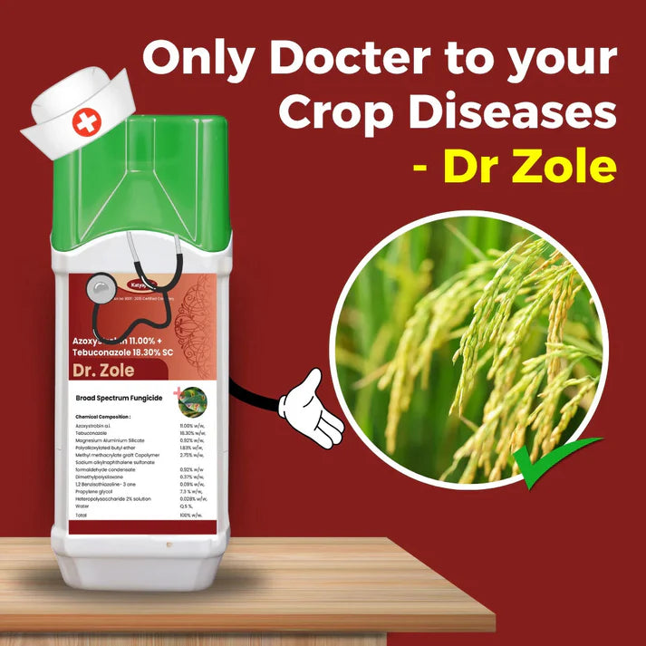 GGV Katyayani Dr. Zole | Azoxystrobin 11% + Tebuconazole 18.3% SC | Chemical Fungicide