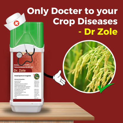 GGV Katyayani Dr. Zole | Azoxystrobin 11% + Tebuconazole 18.3% SC | Chemical Fungicide