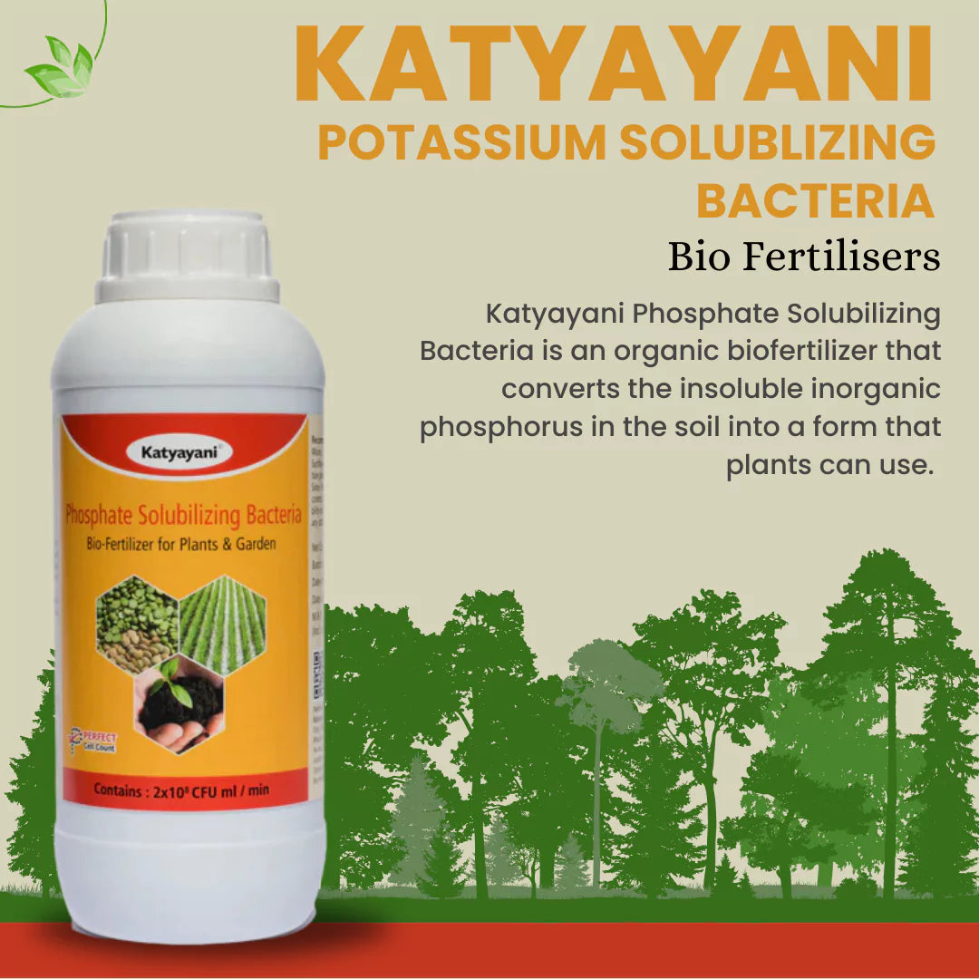 GGV Phosphate Solubilizing Bacteria Bio fertilizer