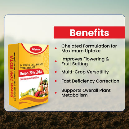 GGV Boron 20% (EDTA) Micronutrient Fertilizer