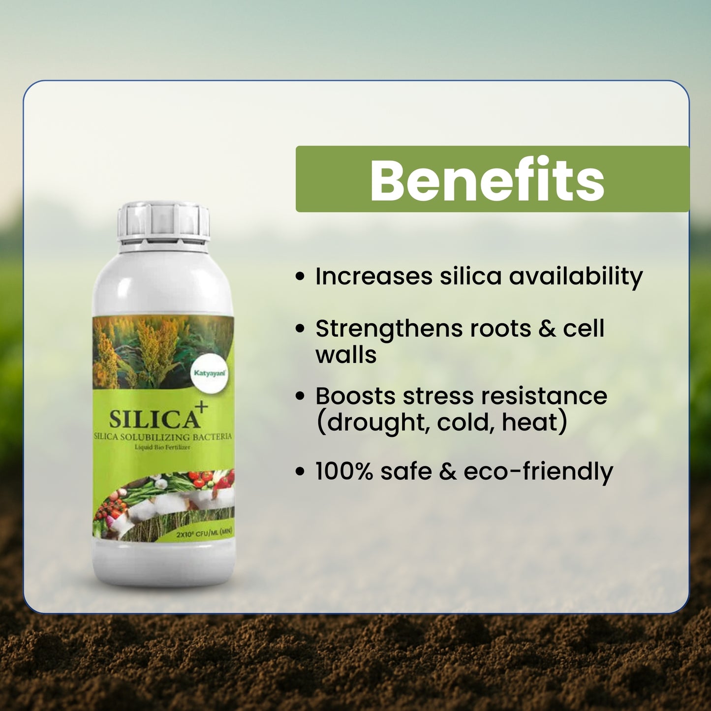 GGV SILICA + | SILICA SOLUBILIZING BACTERIA | LIQUID BIOFERTILIZER
