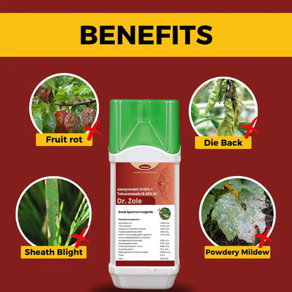 GGV Katyayani Dr. Zole | Azoxystrobin 11% + Tebuconazole 18.3% SC | Chemical Fungicide