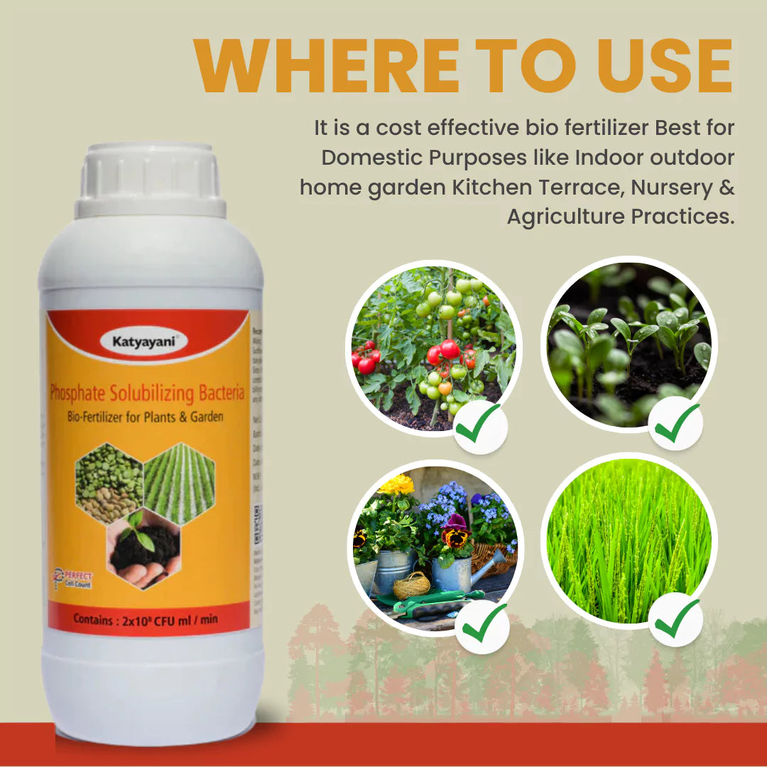 GGV Phosphate Solubilizing Bacteria Bio fertilizer