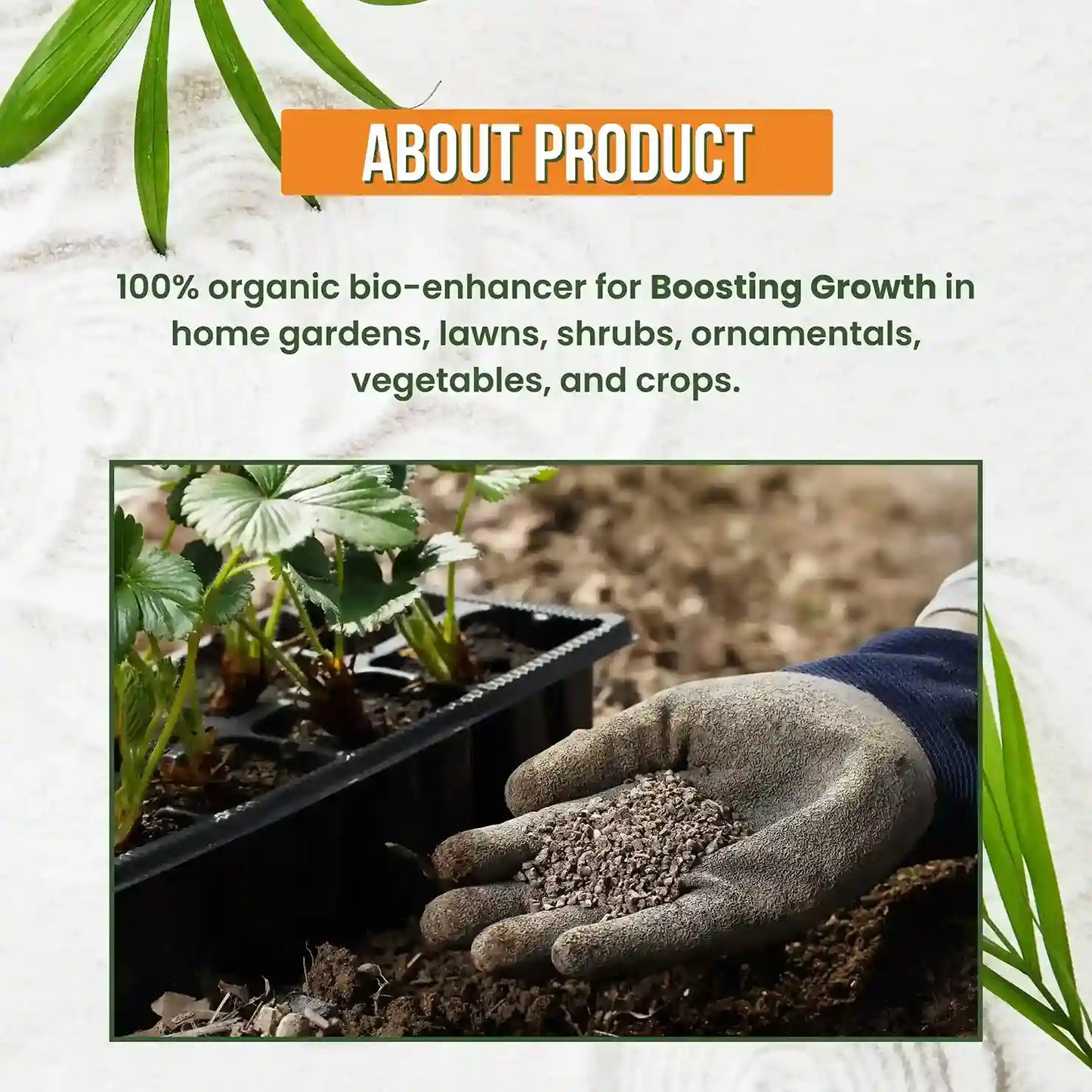 GGV Activated Humic Acid + Fulvic Acid